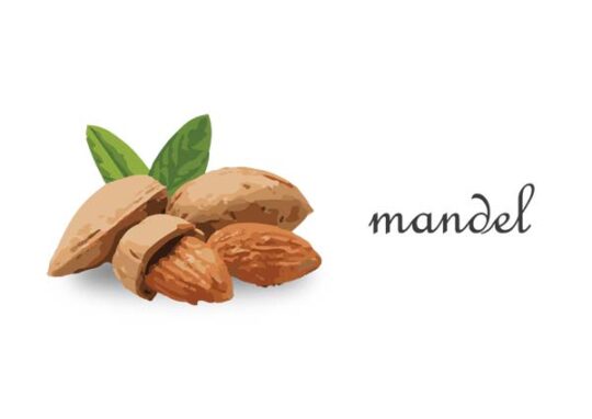 mandel